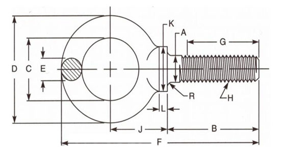 Dimensions of Forged Eye Bolts - Type 2